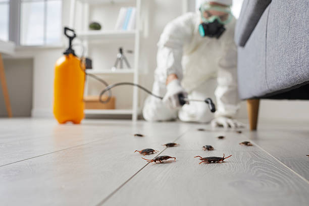 Commercial Kitchen Cockroach Control in Bethel Acres